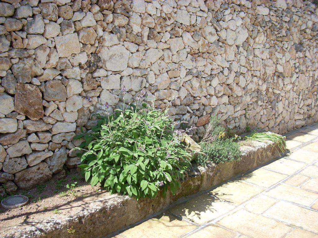 B&B Le Due Corti Martignano Ngoại thất bức ảnh